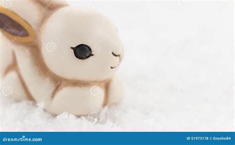 Easter Bunny In The Snow Stock Photo Image Of Celebration 51973178