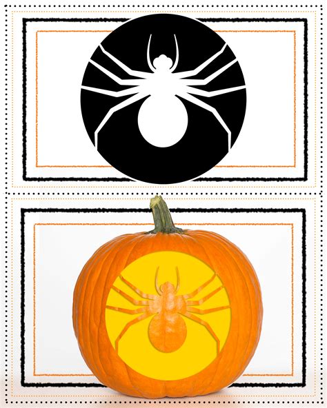 Spider Pumpkin Carving Template