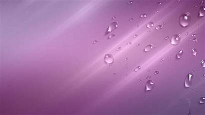 Plain Backgrounds Wallpapers Background Purple