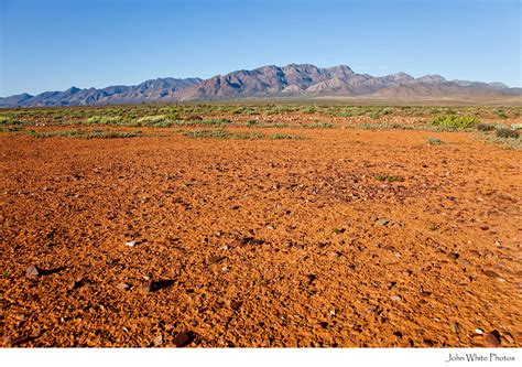 Outback Gibber Plain Red Desert Flinders Ranges South Aust John