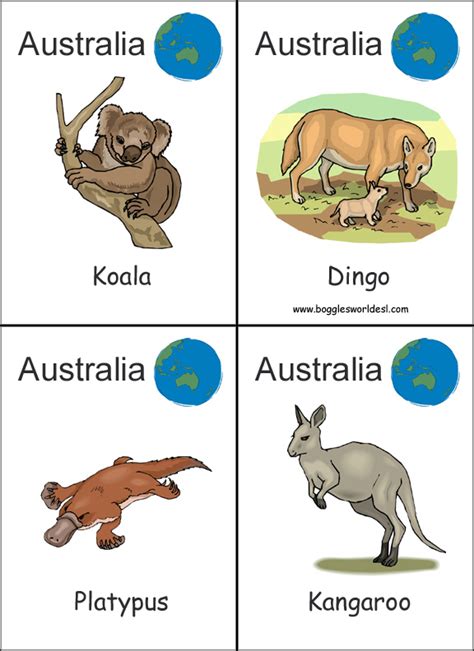Continent and Ocean Flashcards
