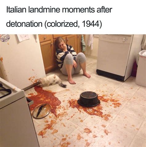 L'art du but par roberto baggio passe plutôt à côté de son sujet. Italian Jokes (30 pics)