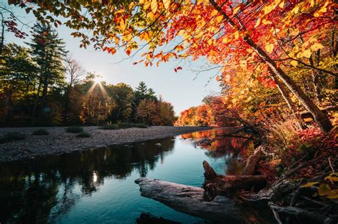 Download Calm River In The Autumn Royalty Free Stock Photo And Image