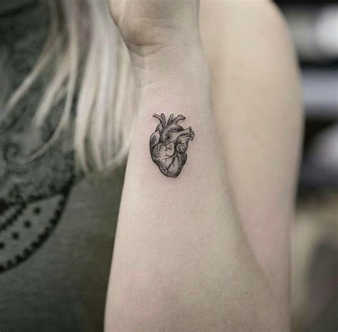 Pin By Anna Van Schaik On Tattoos Anatomical Heart Tattoo Heart