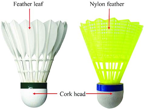 A Feather Shuttlecock Left And Synthetic Shuttlecock Right Download Scientific Diagram
