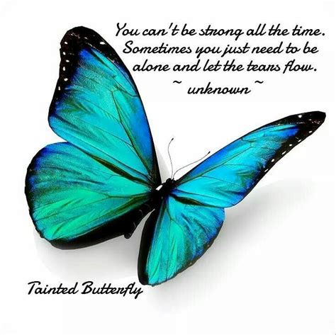 Pin By Karen Medeiros On Uplifting Your Spirits Butterfly Quotes