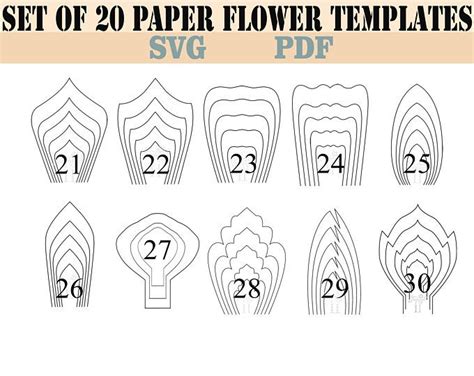 Pdf Petal 9 Paper Flowers Template With Base And Flat Center Etsy