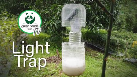 How We Made An Easy Diy Insect Light Trap For Our Farm Youtube