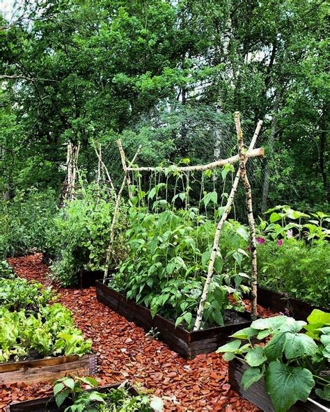 Garden ideas with cinder blocks. Simmple Backyard Garden Cinder Blocks .... in 2020 | Small ...