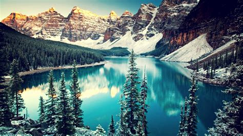Mountain Trees Snow Water Moraine Lake Canada Lake Forest Pine
