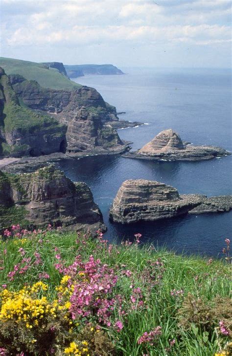 Off The Beaten Track Scotland The Cliffs Of The Outer Moray Firth