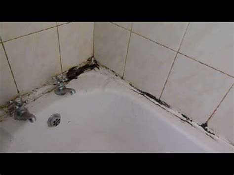 Bathroom Tile Mildew Removal Rispa