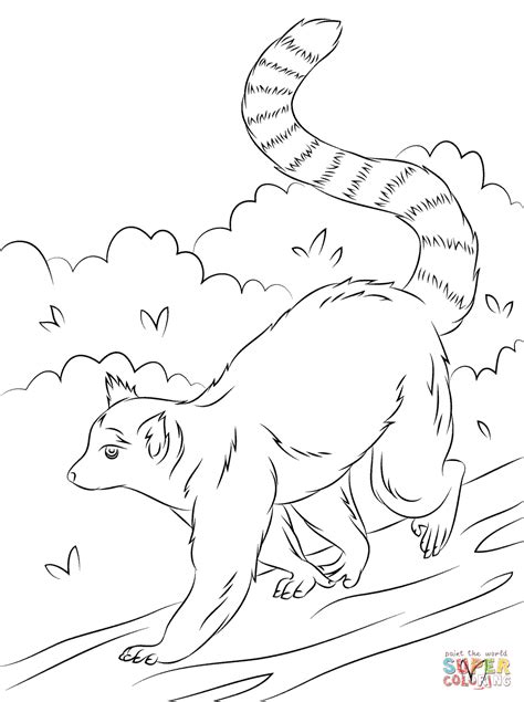 Cute Ring Tailed Lemur Coloring Page Free Printable Coloring Pages
