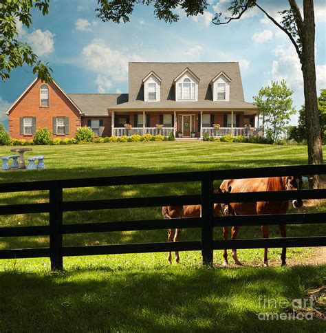 Horse Farm In Kentucky Usa Photograph by Anne Kitzman