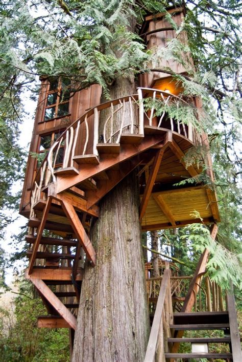 Worlds Most Popular Treehouses Resort Hotels With Amazing