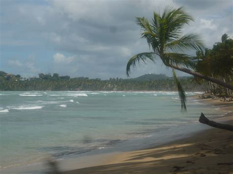 Visitar Conocer Y Vivir En Republica Dominicana Playa De Las Terrenas SamanÁ