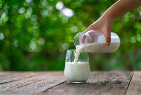 Milk And Arthritis Pros Cons And Recommendations