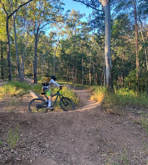 The sunshine coast region has been sent double the amount of coronavirus vaccine it normally queensland health is issuing a contact tracing alert for parts of sunshine coast, goondiwindi and. Parklands Conservation Park - Rocky Creek Circuit ...