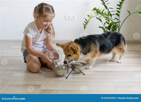 Girl Feeding A Cute Puppy Stock Image Image Of Feed 249753325