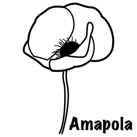 Dibujos De Amapolas Para Colorear Pintar E Imprimir