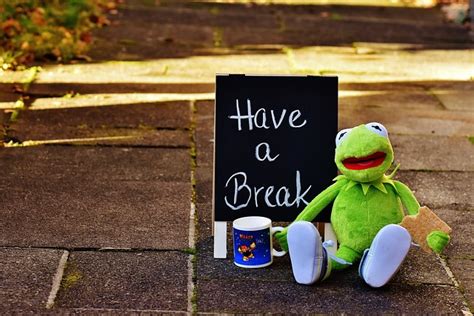 Kermit Tasse Kaffee Trinken Kostenloses Foto Auf Pixabay