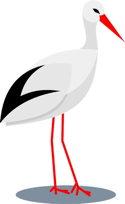 Stork Bird Clipart Free Download Transparent Png Creazilla