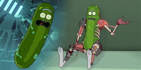 Pourquoi Pickle Rick Est Lépisode Le Plus Incompris Oxtero