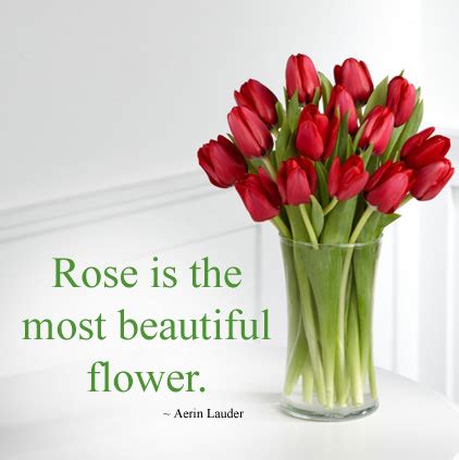 They symbolize love, passion and smell very nice. Flowers DP Images for Whatsapp Status in Hindi English ...