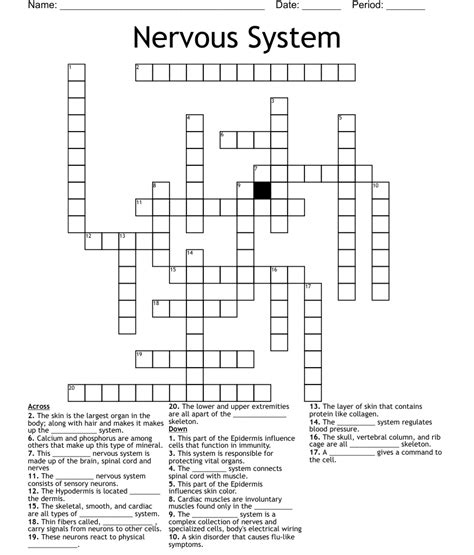 Nervous System Crossword Wordmint