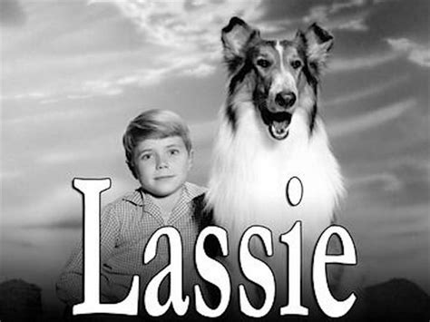 lassie serie