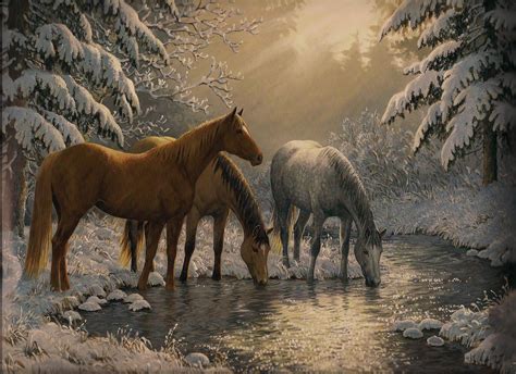 Winter Animal Scenes Wallpaper Wallpapersafari