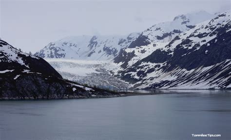 Celebrity Cruises 7 Night Alaska Hubbard Glacier Some Amazing Views