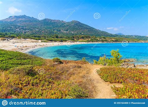 View Of Beautiful Saleccia Beach With Crystal Clear Sea Water Near Saint Florent Corsica Island