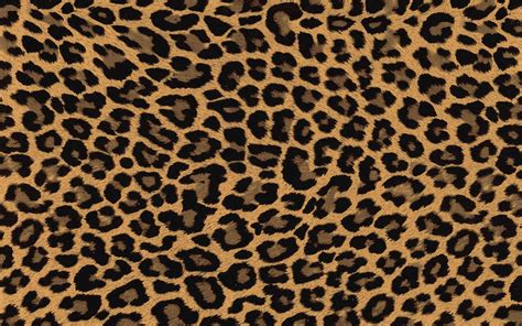 Leopard Print Wallpapers Hd Leopard Print Wallpaper Print Wallpaper