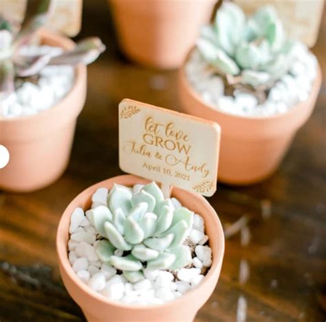 Let Love Grow Succulent Tags Wedding Favors Succulent Tags Etsy