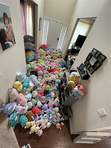 Seriously Need Ideas How To Organize This R Squishmallow