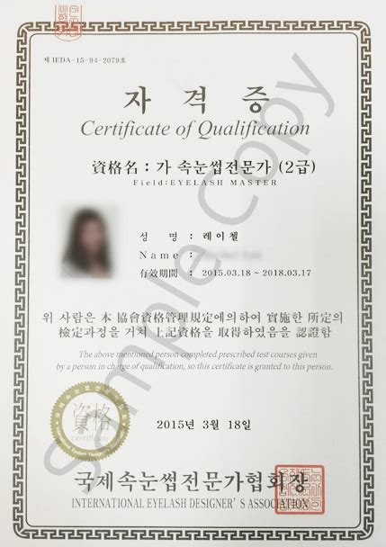 Ieda Master Korean Certification The Lash Academy