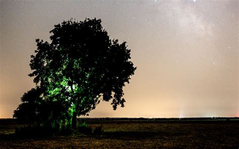 Download Wallpaper 3840x2400 Tree Night Starry Sky Plain Landscape