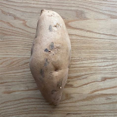 Jersey Sweet Potato Usa Single Small