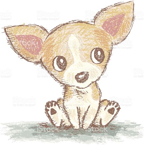 Simple Cute Chihuahua Drawing Pets Lovers