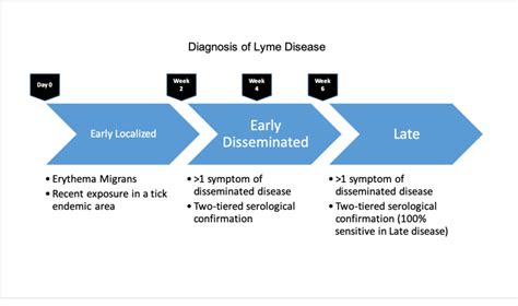 Lyme Disease Diagnosis Download Scientific Diagram