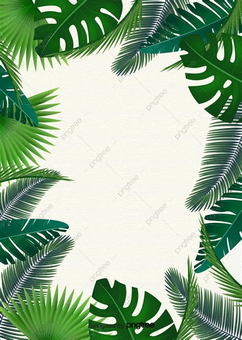 Top 201 Imagen Green Background Tropical Thcshoanghoatham Vn