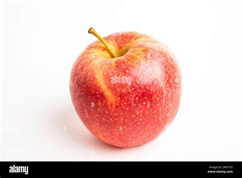 One Fresh Red Apple Isolated On A Plain White Background Stock Photo