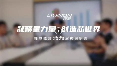 企业动态 新闻资讯 锂威新能源·liwinon