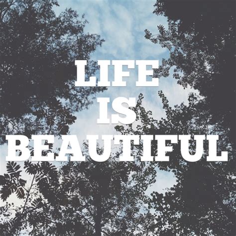 Life Is Beautiful Pictures Photos And Images For Facebook Tumblr