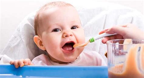 Tips Para Introducir La Carne En La Dieta Del Bebé Alimentación Del Bebé