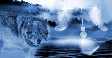 We did not find results for: Wolf Free Stock Photo - Public Domain Pictures