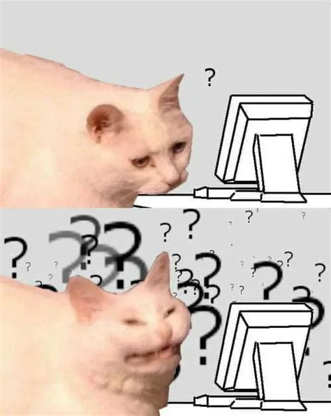Confused Cat Looking At Computer With A Lot Of Question Marks Meme Keep Meme