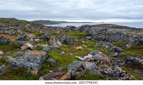 821 Nunavut Tundra Images Stock Photos And Vectors Shutterstock