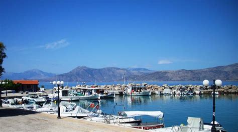 Σύμφωνα με την πυροσβεστική η φωτιά είναι κοντά σε δασική έκταση, ωστόσο προς το παρόν καίει χορτολιβαδική. ΑΛΕΠΟΧΩΡΙ